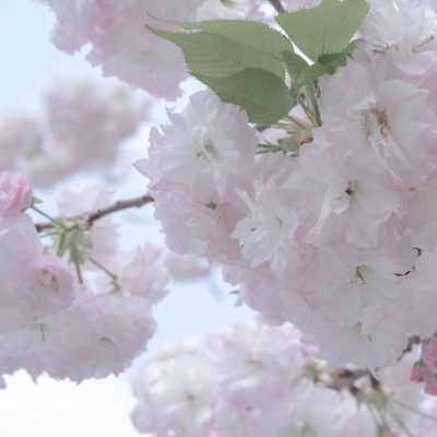 兽设动态构图思路福瑞群